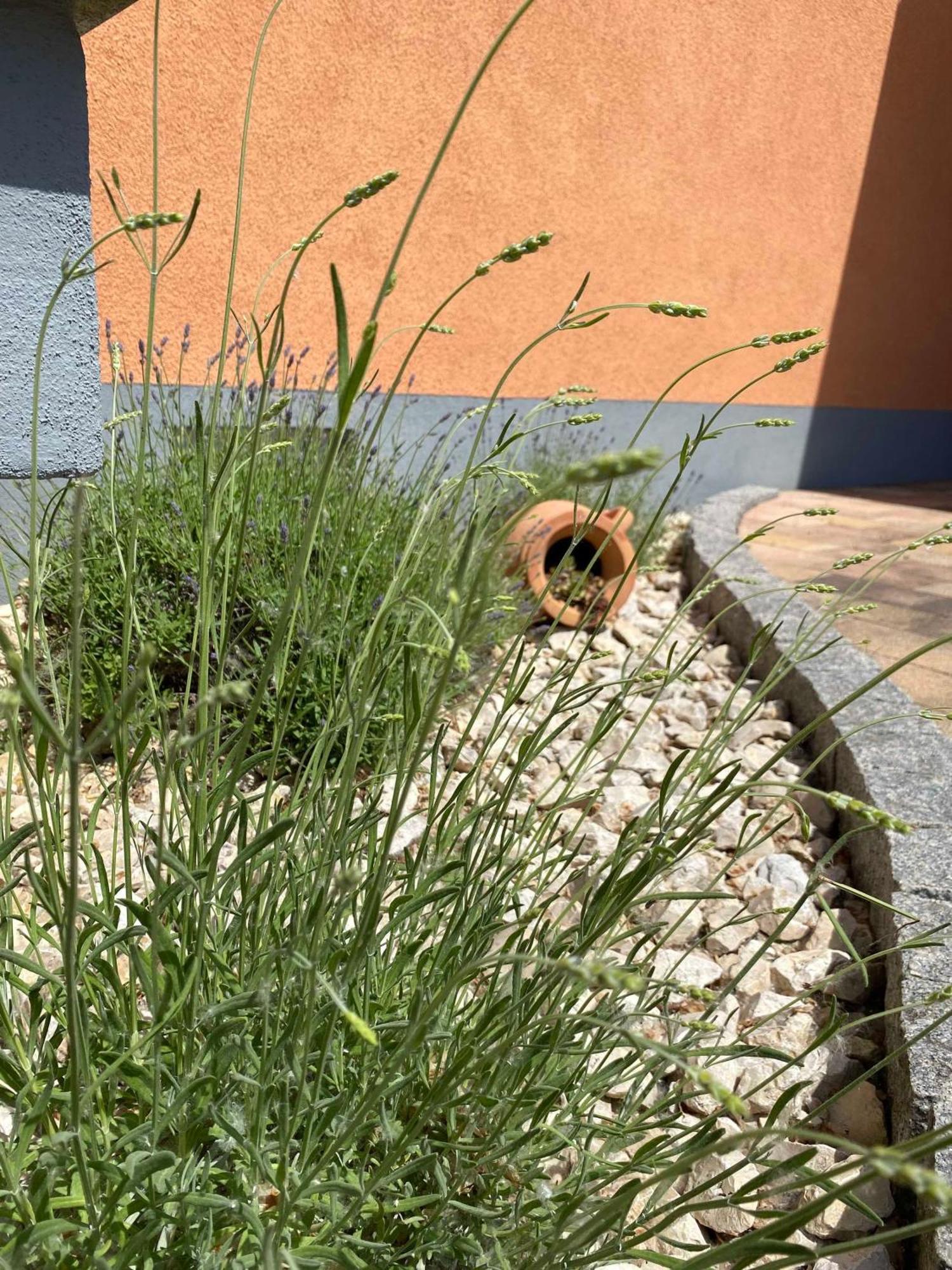 Ferienwohnung Im Sand 黑尔博尔茨海姆 外观 照片